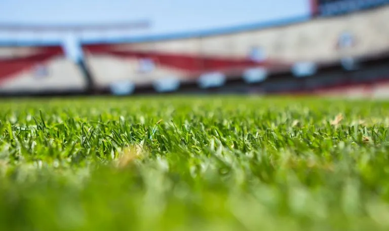 Turf soccer store field