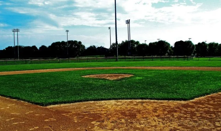 Marlins Park has synthetic turf installed