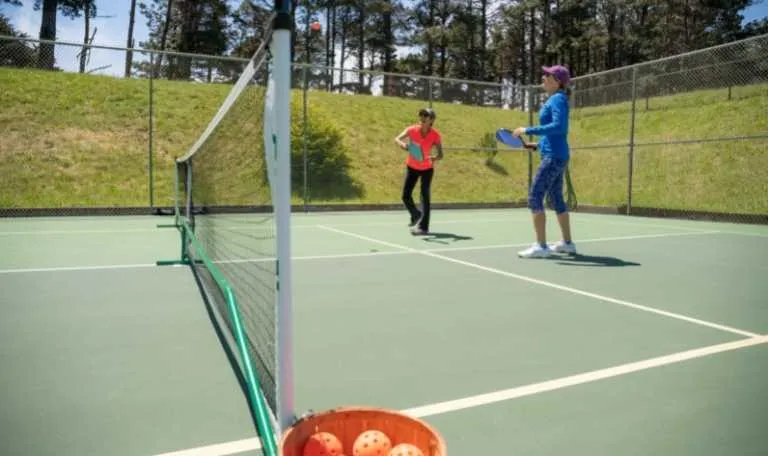 pickleball court grants