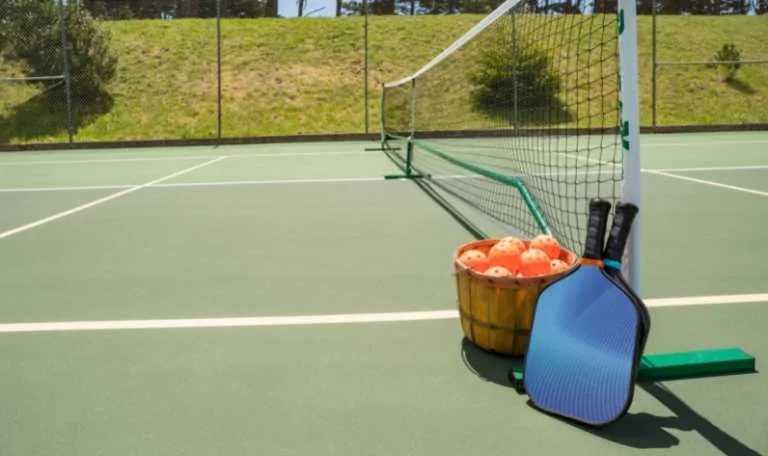 Pickleball court cost: Calculate your construction project Sports