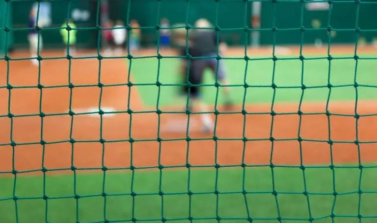 baseball softball domes