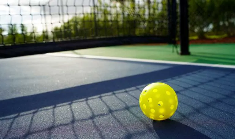 pickleball court company