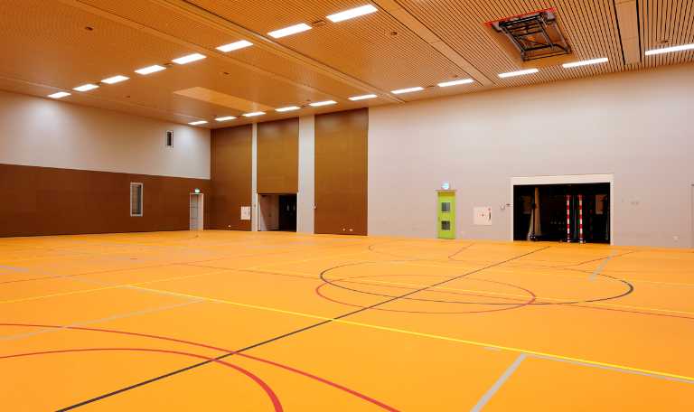 synthetic gymnasium floor